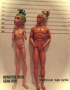 Male doll body comparison photo monster high boy ken doll